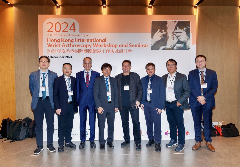 HK Wrist Course 2024- Seminar  - 2 of 257
